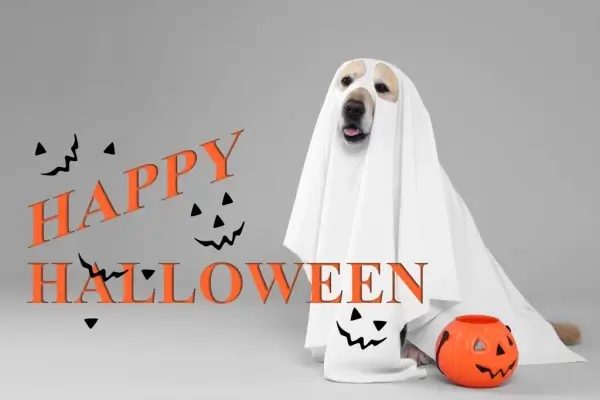 Happy Halloween from Archstone Home Mortgage, LLC